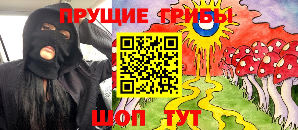 Галлюциногенные грибы Psilocybine cubensis Полысаево