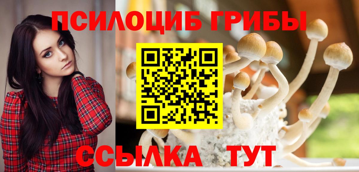 Галлюциногенные грибы MAGIC MUSHROOMS  Галлюциногенные грибы GOLDEN TEACHER  Вход с VPN  Полысаево 