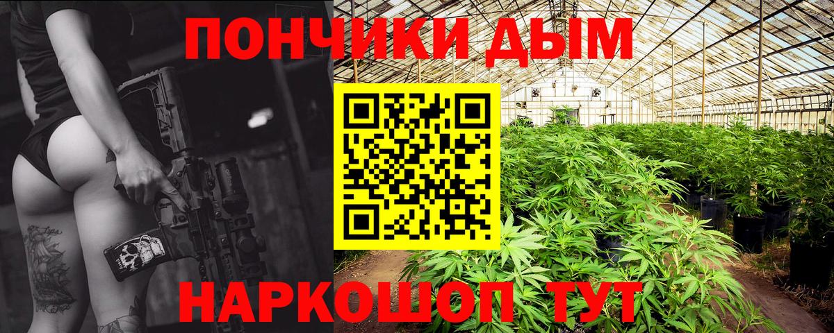 Каннабис индика Полысаево